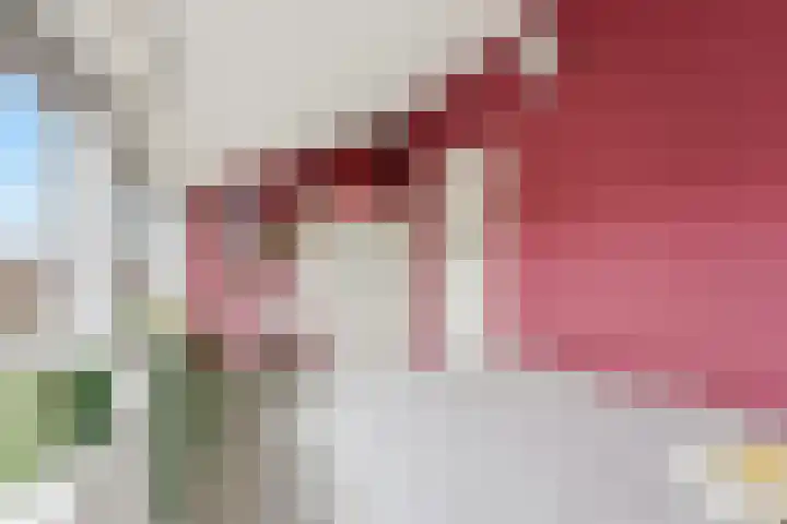 Waalsmondelaan 24 Alblasserdam thumbnail 34