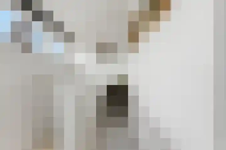 Waalsmondelaan 24 Alblasserdam thumbnail 35