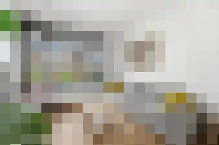 Waalsmondelaan 24 Alblasserdam thumbnail 4