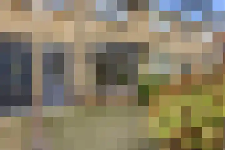 Waalsmondelaan 24 Alblasserdam thumbnail 43