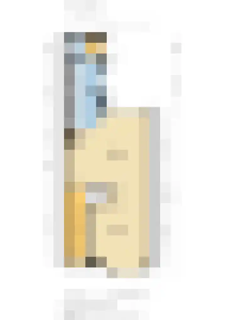 Waalsmondelaan 24 Alblasserdam thumbnail 46