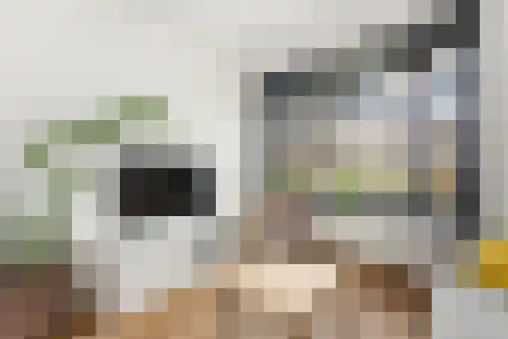 Waalsmondelaan 24 Alblasserdam thumbnail 6
