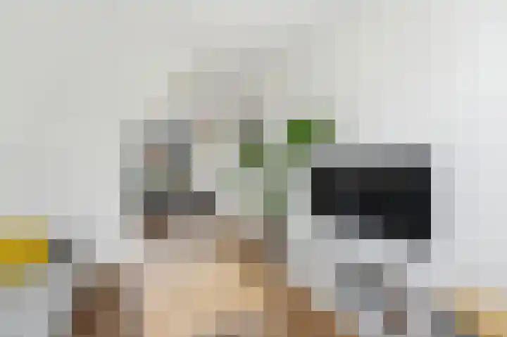 Waalsmondelaan 24 Alblasserdam thumbnail 7