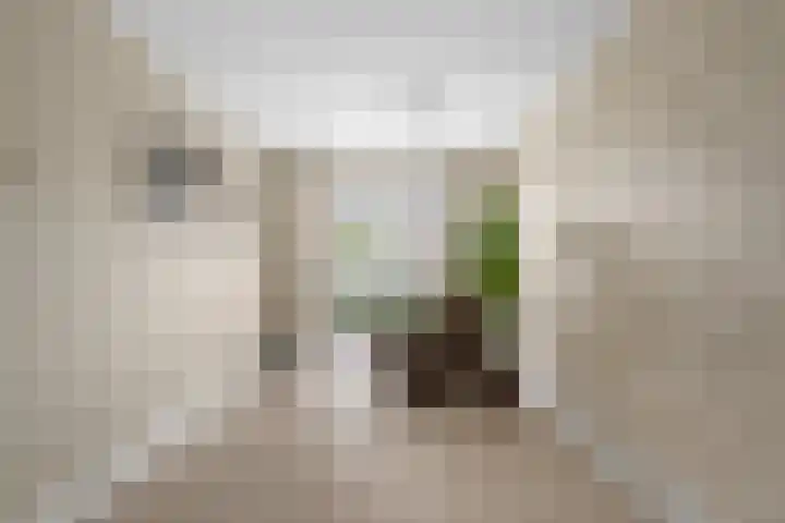 Waalsteen 33 Houten thumbnail 11