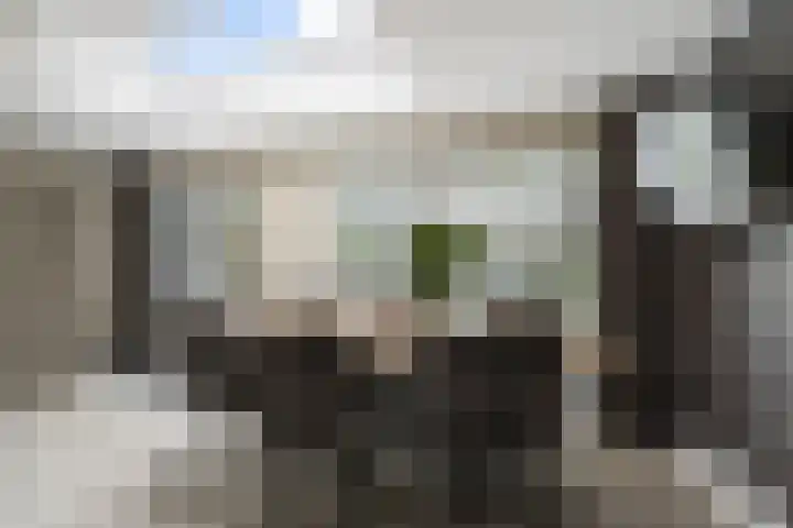 Waalsteen 33 Houten thumbnail 12