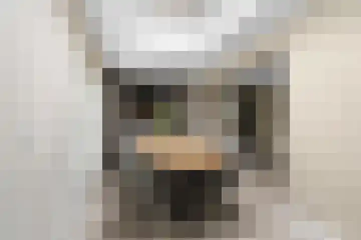 Waalsteen 33 Houten thumbnail 14