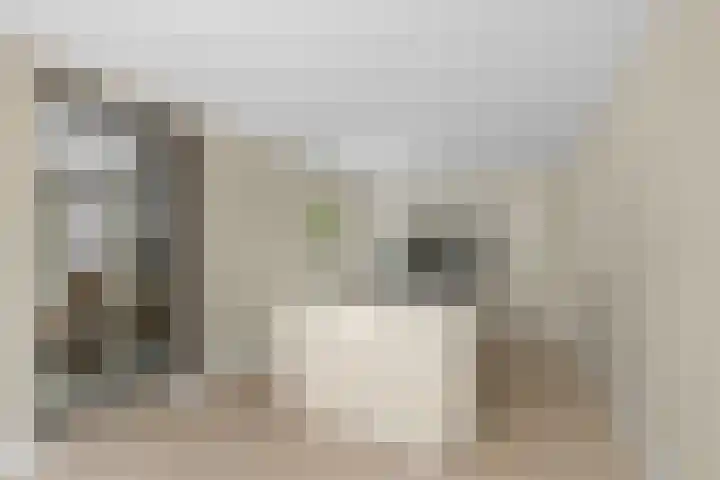 Waalsteen 33 Houten thumbnail 15