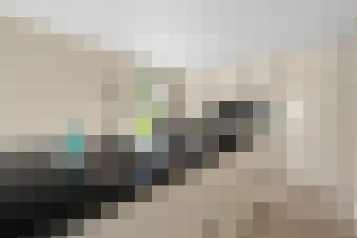 Waalsteen 33 Houten thumbnail 18
