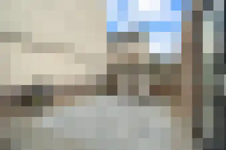 Waalsteen 33 Houten thumbnail 19