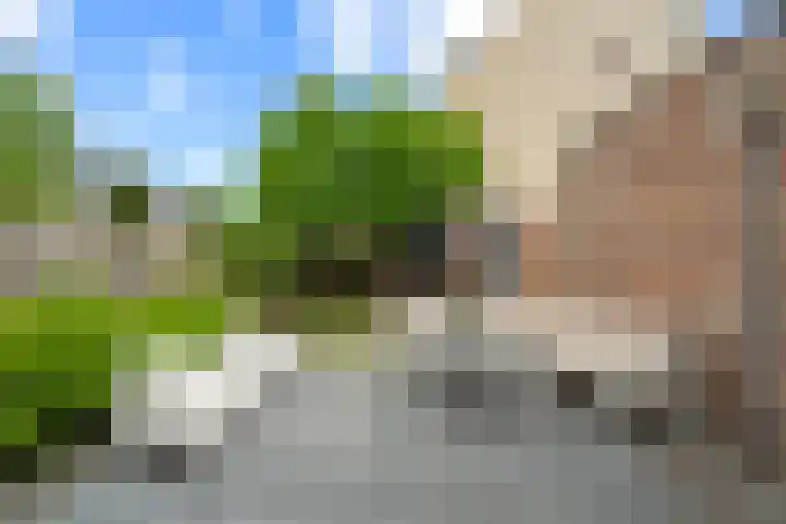 Waalsteen 33 Houten thumbnail 21