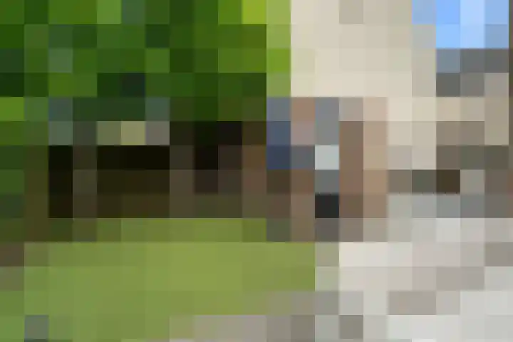 Waalsteen 33 Houten thumbnail 22