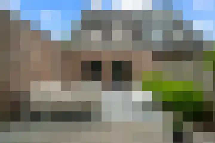 Waalsteen 33 Houten thumbnail 24