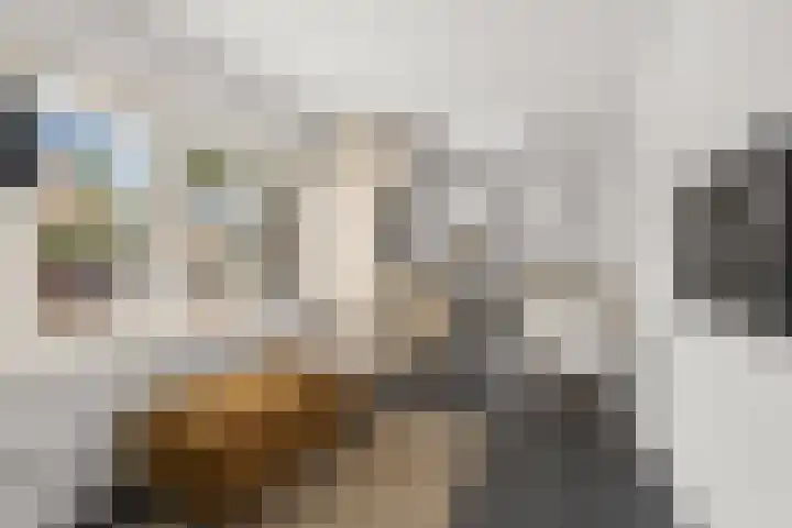 Waalsteen 33 Houten thumbnail 25