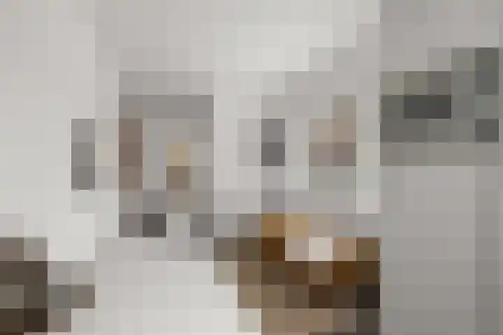 Waalsteen 33 Houten thumbnail 26