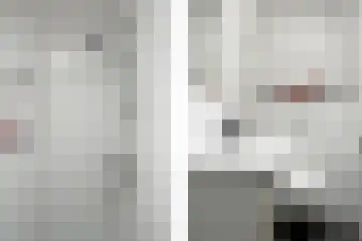 Waalsteen 33 Houten thumbnail 28