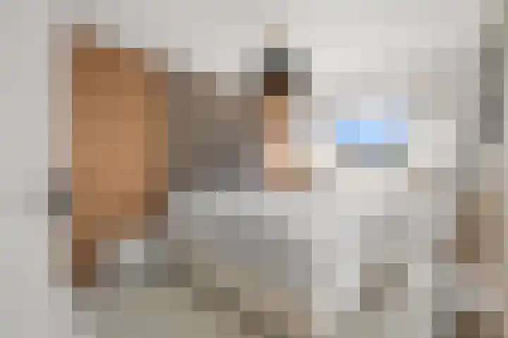 Waalsteen 33 Houten thumbnail 30