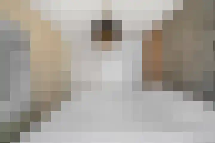 Waalsteen 33 Houten thumbnail 31