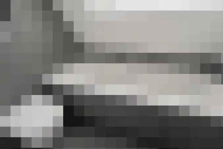 Waalsteen 33 Houten thumbnail 33