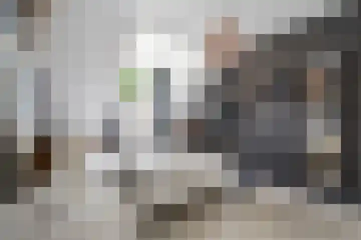 Waalsteen 33 Houten thumbnail 34