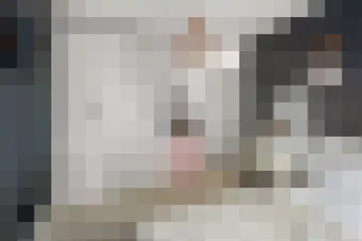 Waalsteen 33 Houten thumbnail 35
