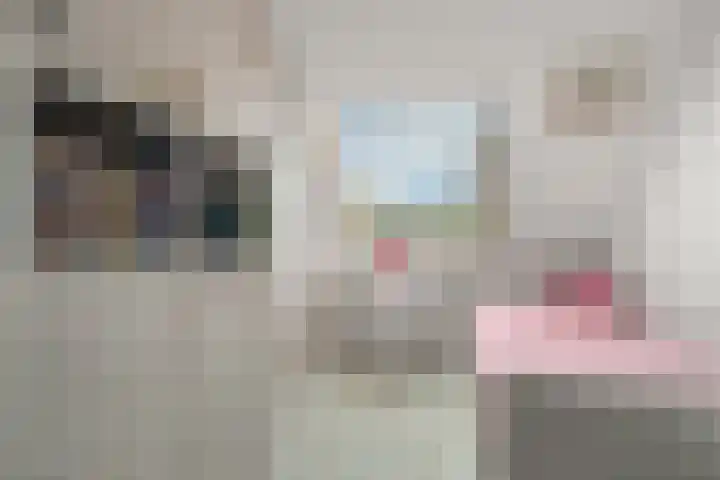 Waalsteen 33 Houten thumbnail 36