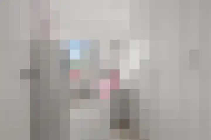 Waalsteen 33 Houten thumbnail 37