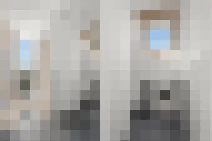 Waalsteen 33 Houten thumbnail 38