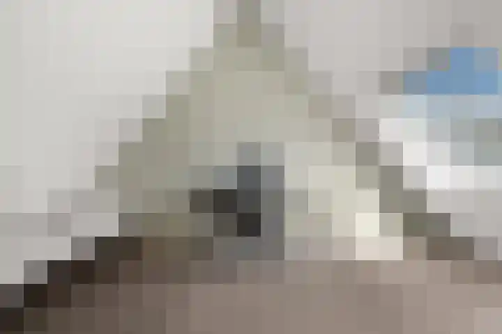 Waalsteen 33 Houten thumbnail 39