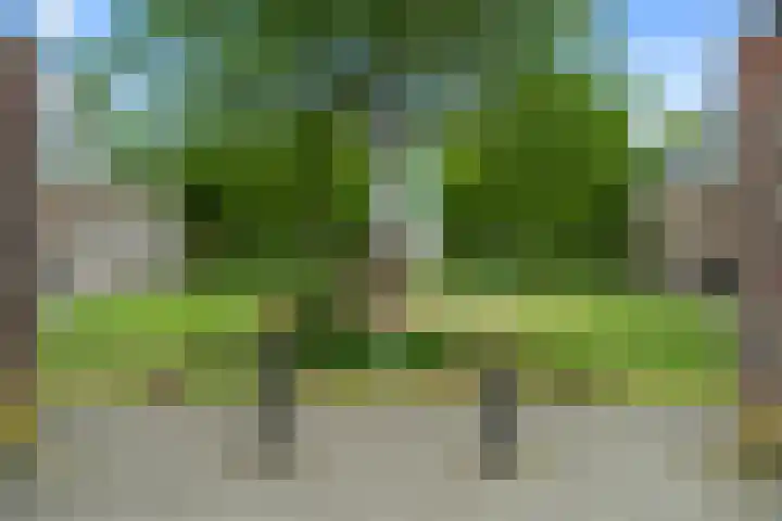 Waalsteen 33 Houten thumbnail 45