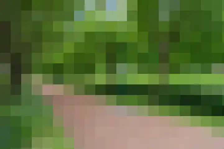 Waalsteen 33 Houten thumbnail 46