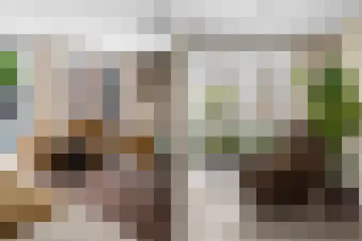 Waalsteen 33 Houten thumbnail 6