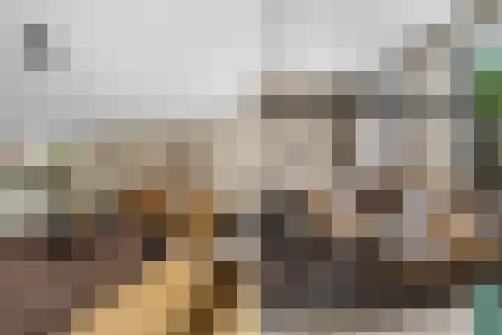 Waalsteen 33 Houten thumbnail 7