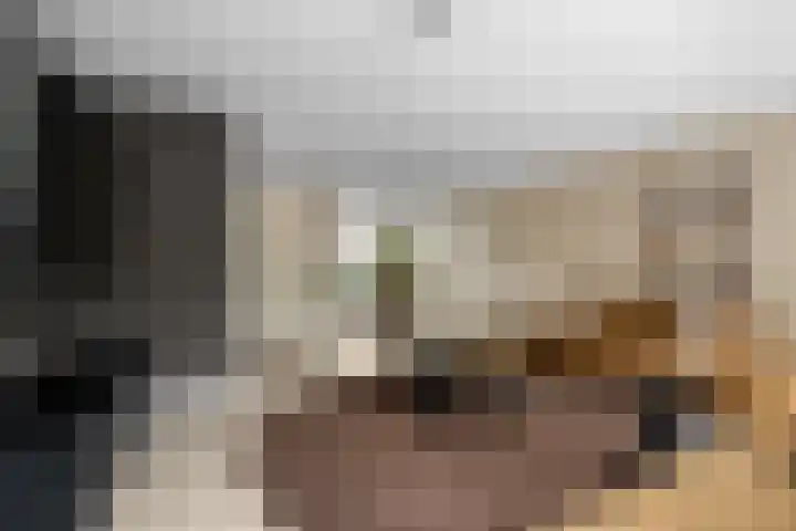 Waalsteen 33 Houten thumbnail 9