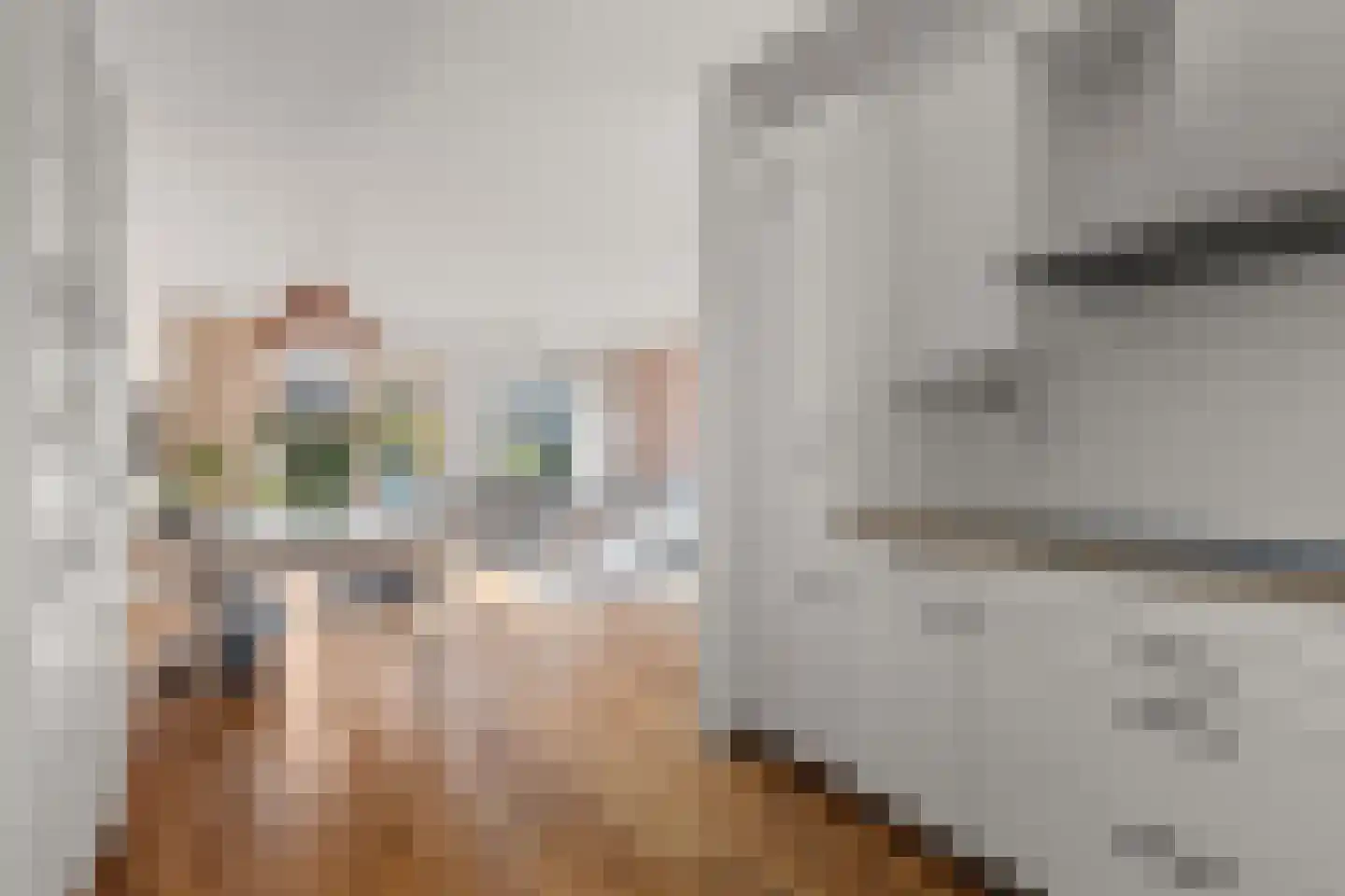 Waalsteen 37 Houten thumbnail 12