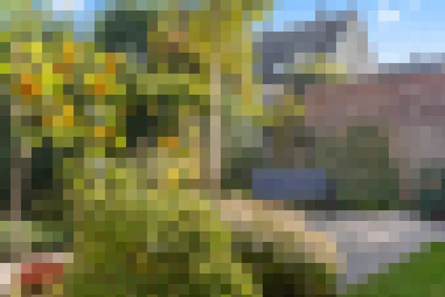 Waalsteen 37 Houten thumbnail 15