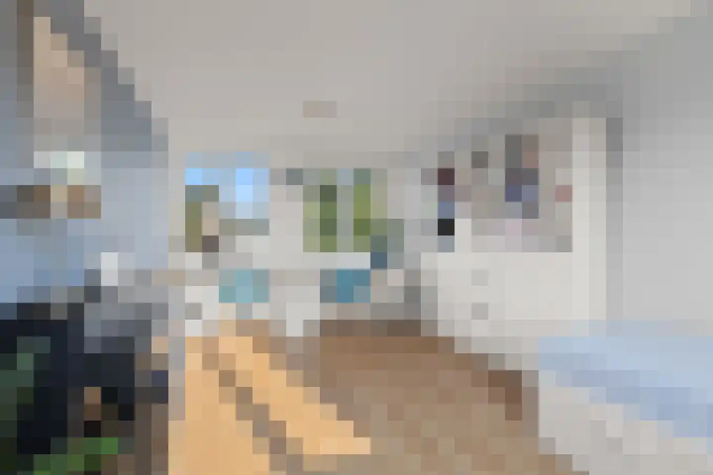 Waalsteen 37 Houten thumbnail 23