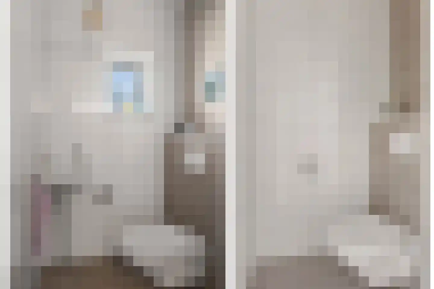 Waalsteen 37 Houten thumbnail 36