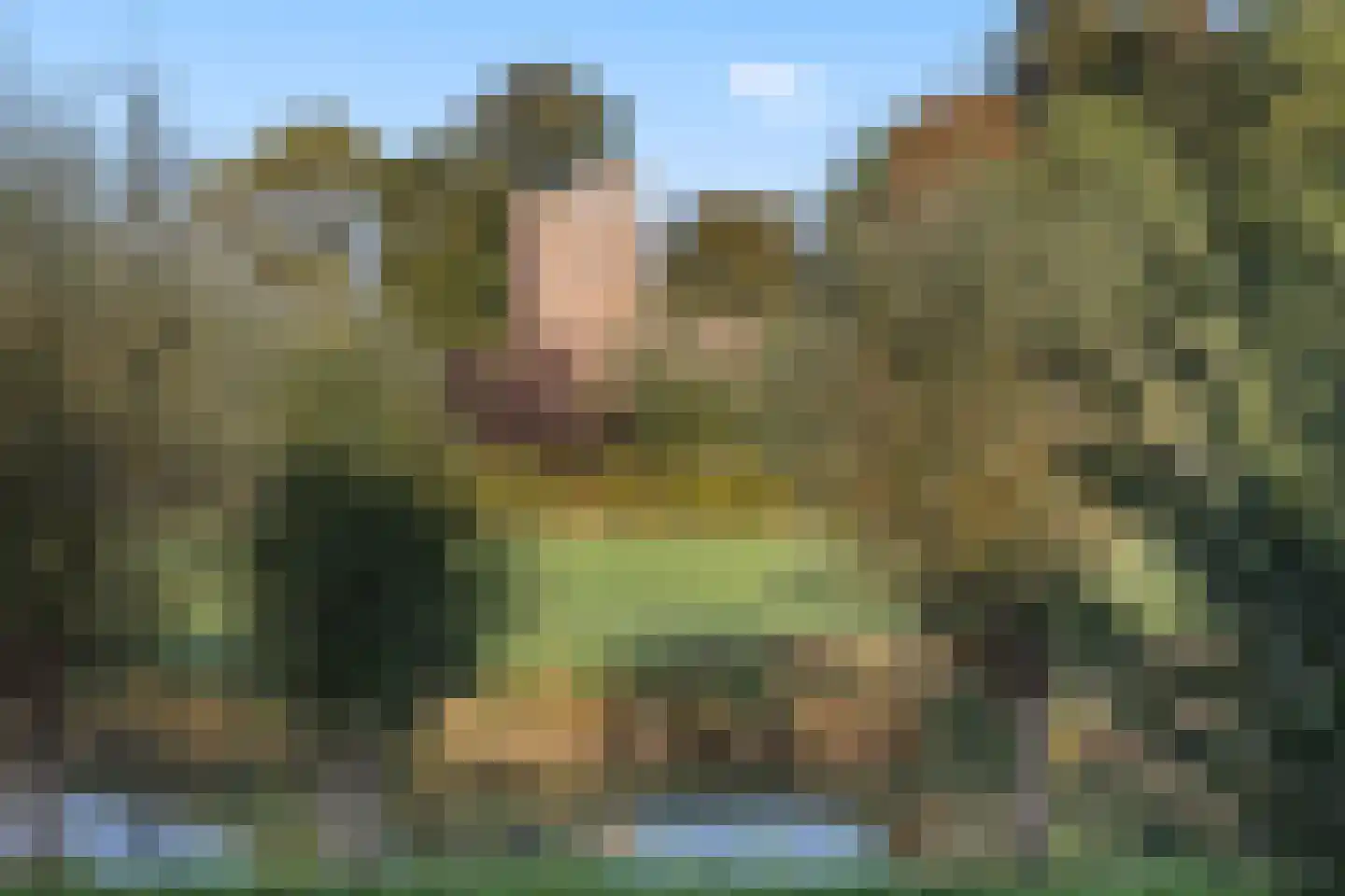 Waalsteen 37 Houten thumbnail 40