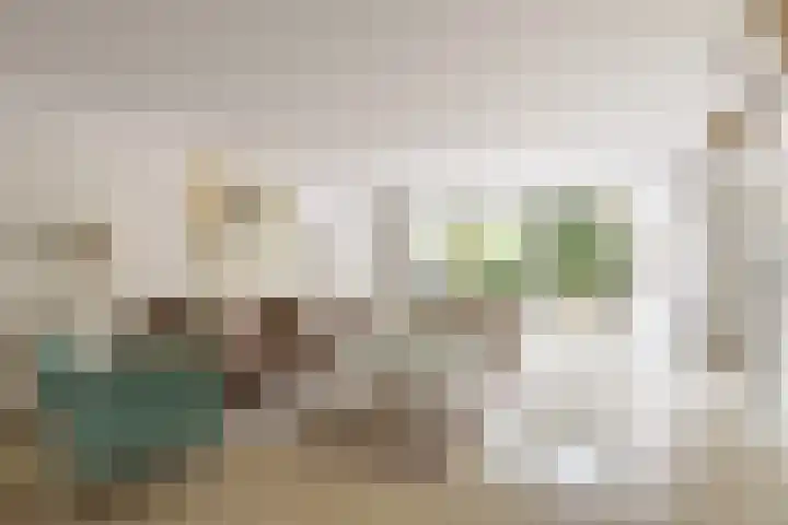 Waalsteen 67 Houten thumbnail 10