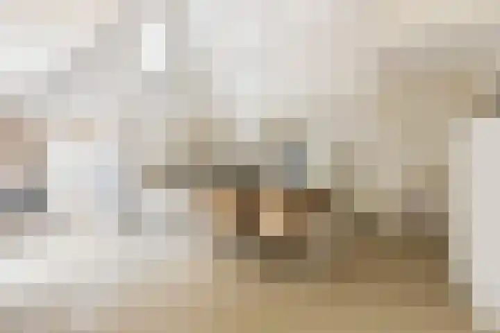 Waalsteen 67 Houten thumbnail 11