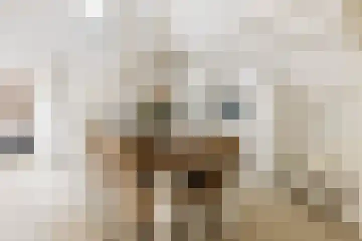 Waalsteen 67 Houten thumbnail 12