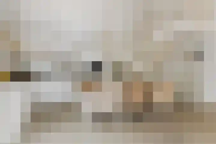 Waalsteen 67 Houten thumbnail 13