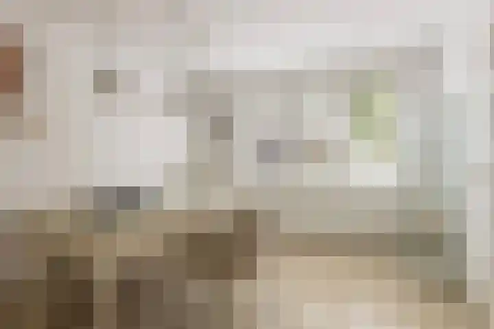 Waalsteen 67 Houten thumbnail 15
