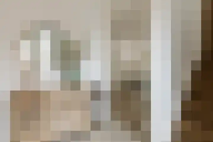 Waalsteen 67 Houten thumbnail 17