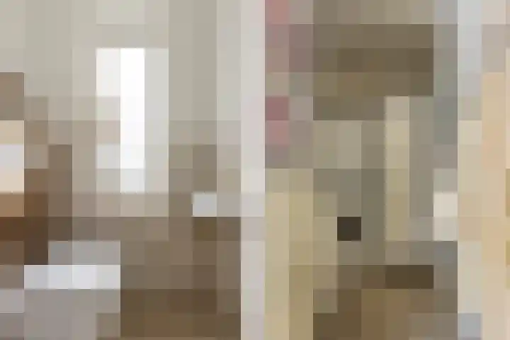 Waalsteen 67 Houten thumbnail 18