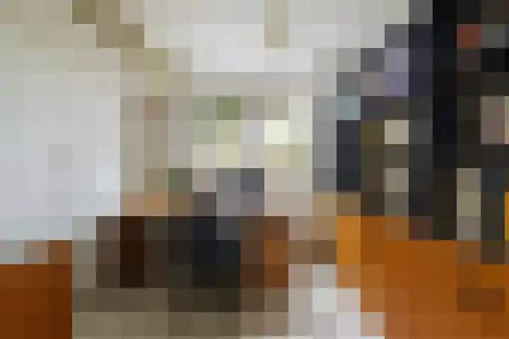 Waalsteen 67 Houten thumbnail 19