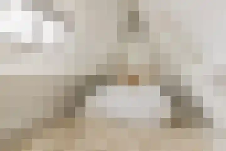 Waalsteen 67 Houten thumbnail 22