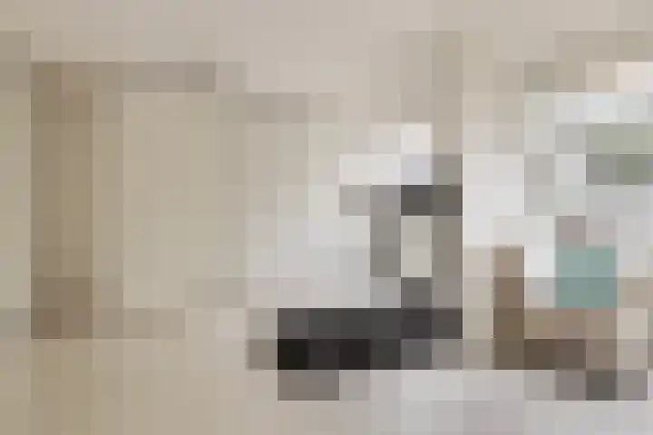 Waalsteen 67 Houten thumbnail 24