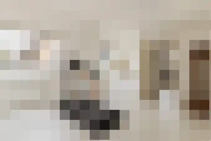 Waalsteen 67 Houten thumbnail 25