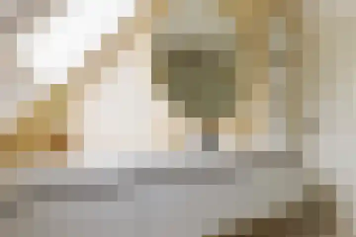 Waalsteen 67 Houten thumbnail 26